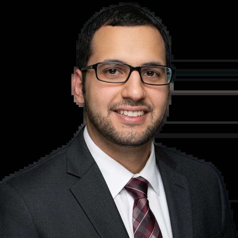 Portrait of Ala Alikhani