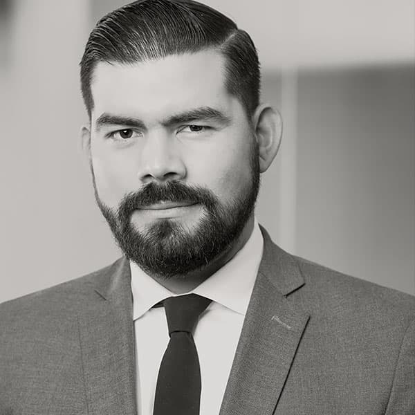Portrait of Alexander Gamez